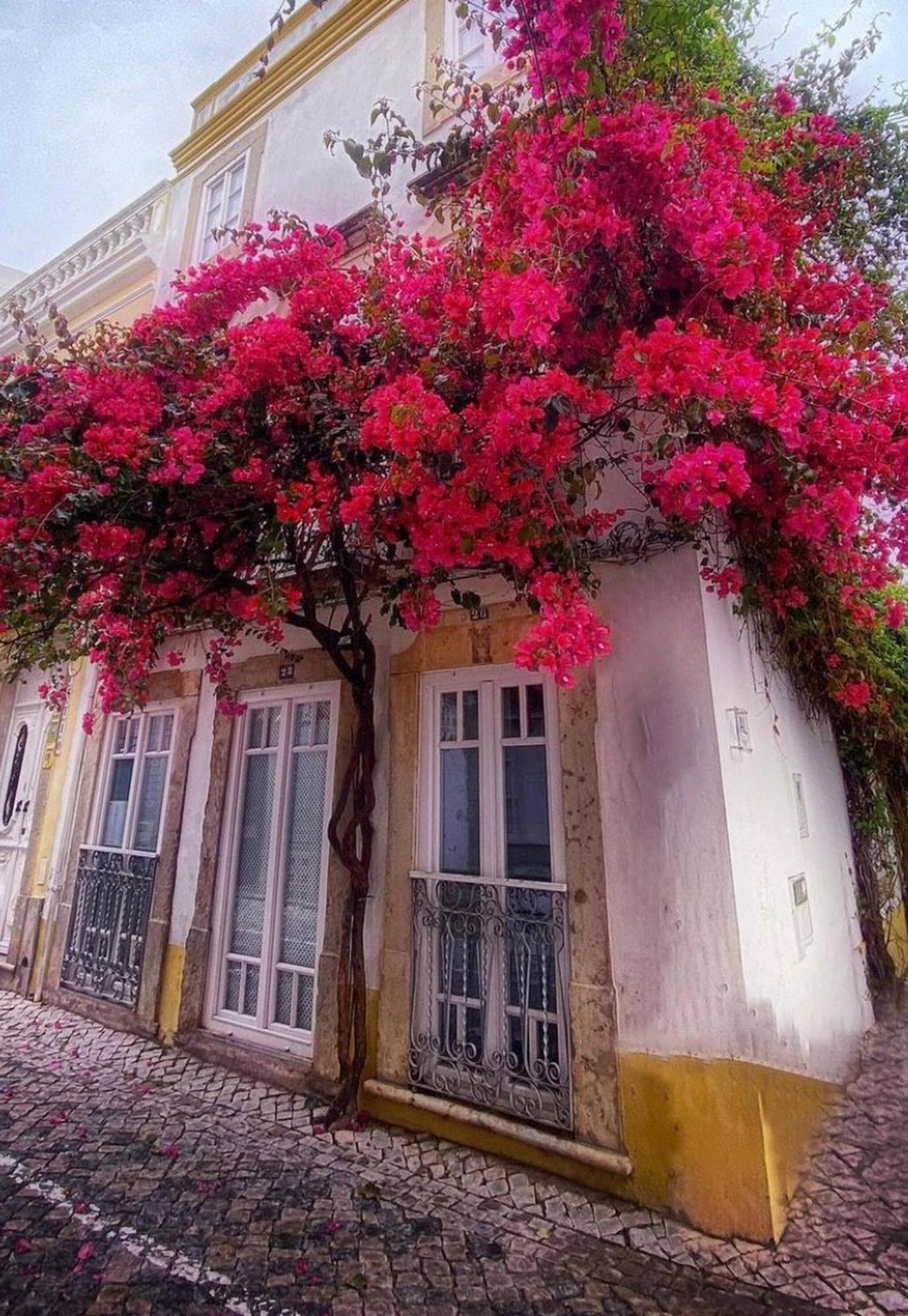 Elegant Studio Formosa In Taviras Historica Centre Villa Екстериор снимка